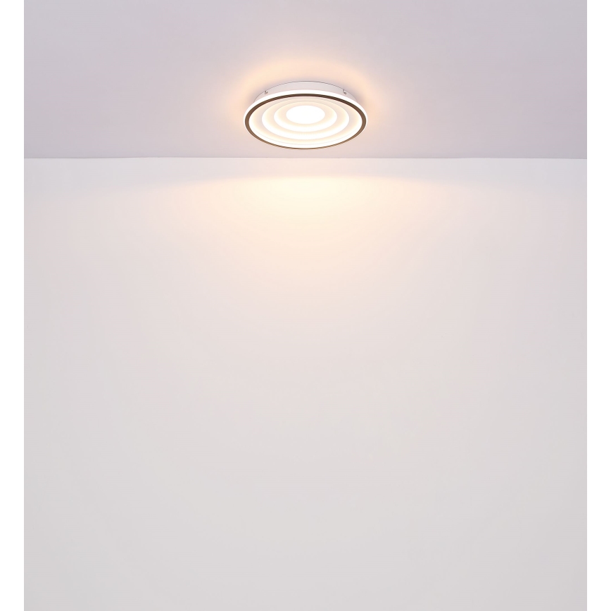 Globo - Plafoniera LED LED/24W/230V