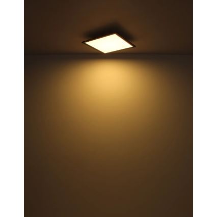 Globo - Plafoniera LED LED/24W/230V