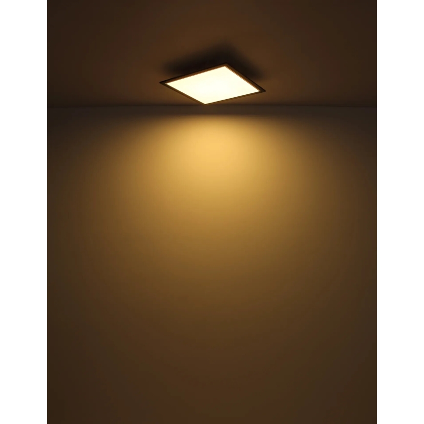 Globo - Plafoniera LED LED/24W/230V