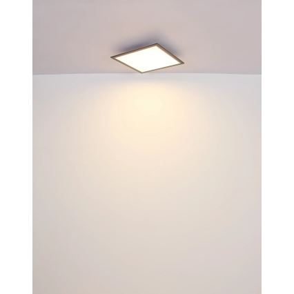 Globo - Plafoniera LED LED/24W/230V