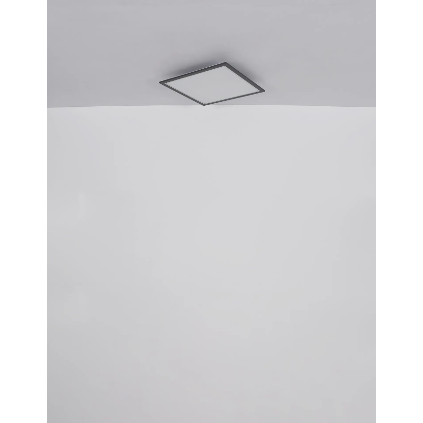 Globo - Plafoniera LED LED/24W/230V