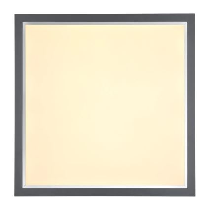 Globo - Plafoniera LED LED/24W/230V