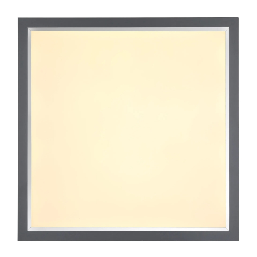 Globo - Plafoniera LED LED/24W/230V