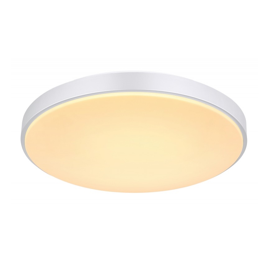Globo - Plafoniera LED dimmerabile LED/24W/230V + telecomando