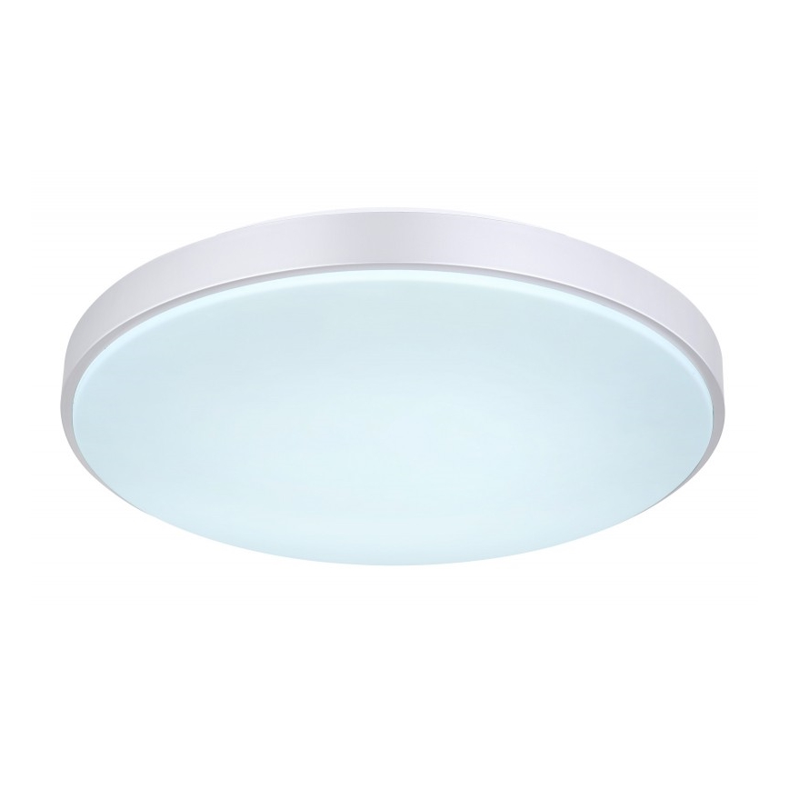 Globo - Plafoniera LED dimmerabile LED/24W/230V + telecomando