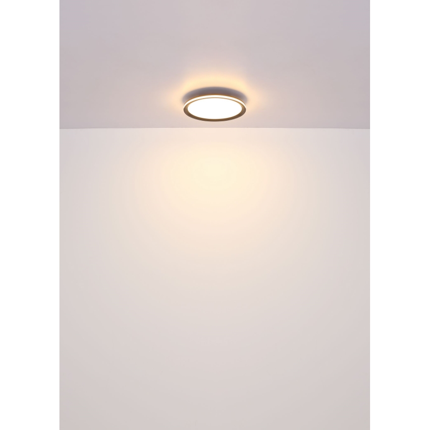 Globo - Plafoniera LED LED/39W/230V diametro 40 cm