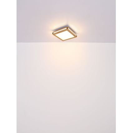 Globo - Plafoniera LED LED/12W/230V 30x30 cm