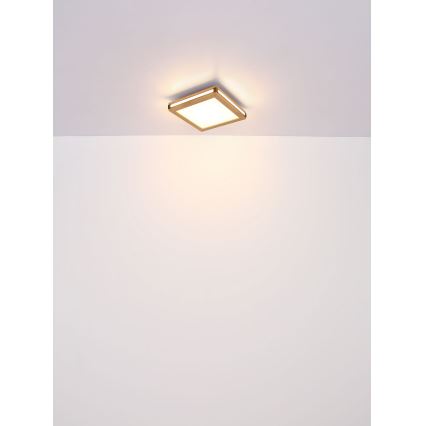 Globo - Plafoniera LED LED/12W/230V 30x30 cm