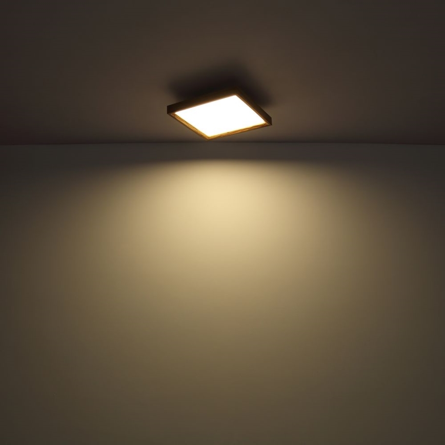 Globo - Plafoniera LED LED/24W/230V 45cm 2700/4500/6500K