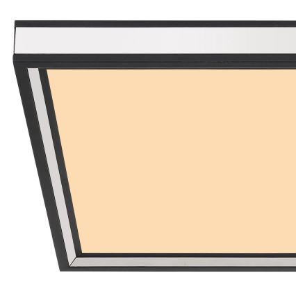 Globo - Plafoniera LED LED/12W/230V 30x30 cm nero/bianco