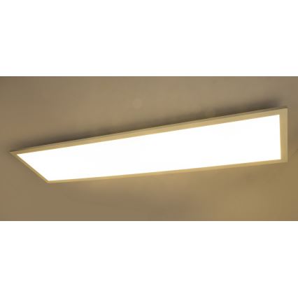 Globo - Pannello LED da superficie ROSI LED/40W/230V