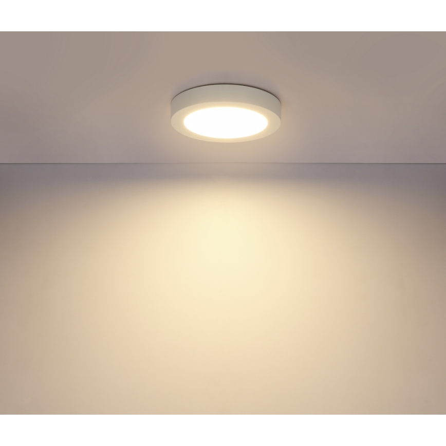 GLOBO 41605-18 - Plafoniera LED da bagno PAULA 1xLED/18W/230V IP44
