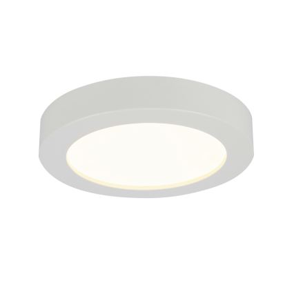 GLOBO 41605-18 - Plafoniera LED da bagno PAULA 1xLED/18W/230V IP44
