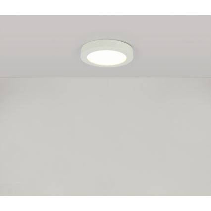 GLOBO 41605-18 - Plafoniera LED da bagno PAULA 1xLED/18W/230V IP44