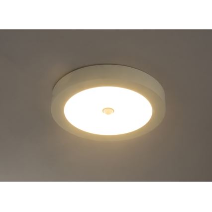 Globo - Lampada da soffitto LED da esterno con sensore 1xLED/18W/230V