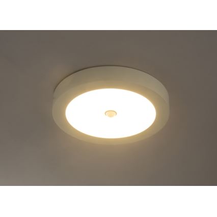 Globo - Plafoniera LED da esterno con sensore LED/18W/230V IP44