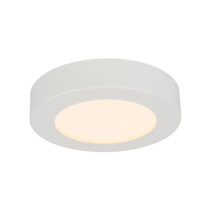 GLOBO 41605-20D - Lampada da soffitto LED dimmerabile da bagno PAULA 1xLED/18W/230V IP44