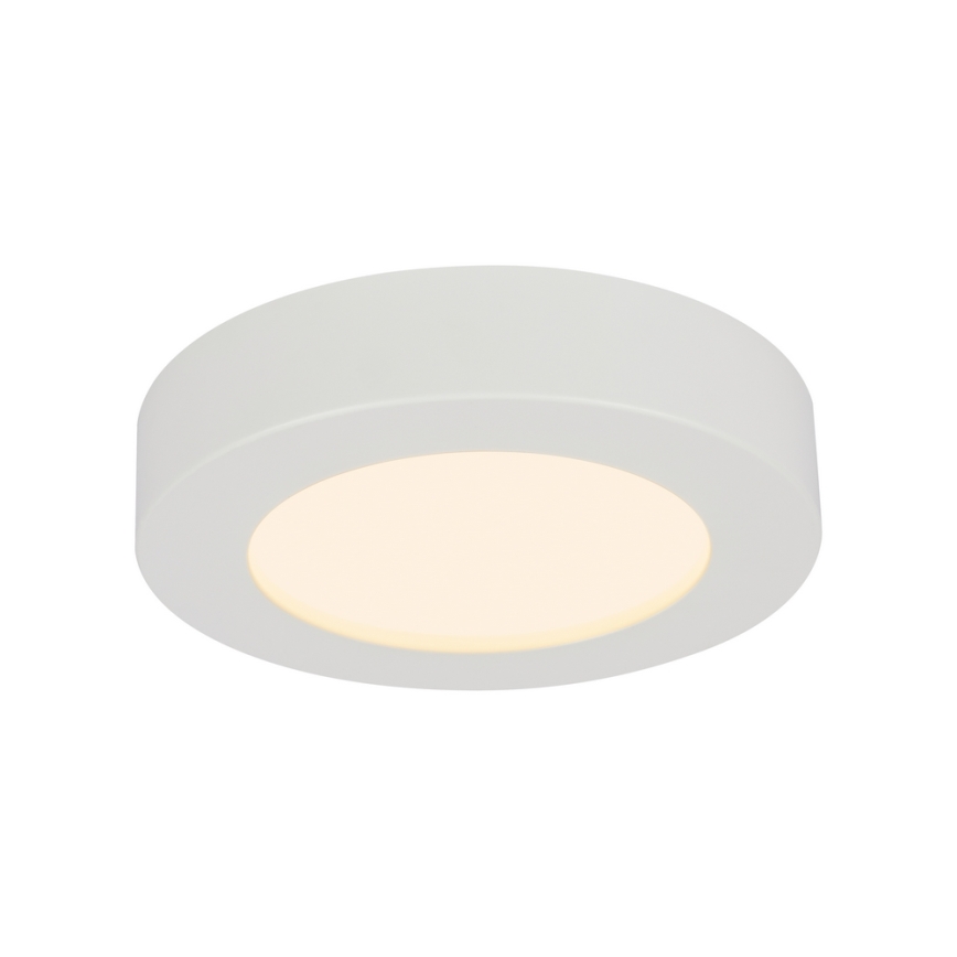 GLOBO 41605-20D - Lampada da soffitto LED dimmerabile da bagno PAULA 1xLED/18W/230V IP44
