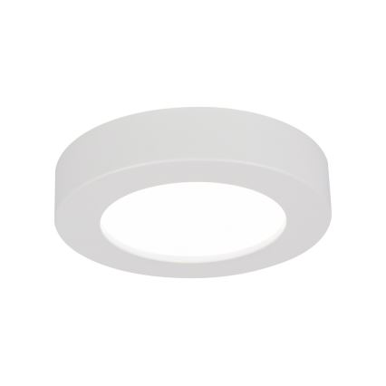 GLOBO 41605-20D - Lampada da soffitto LED dimmerabile da bagno PAULA 1xLED/18W/230V IP44