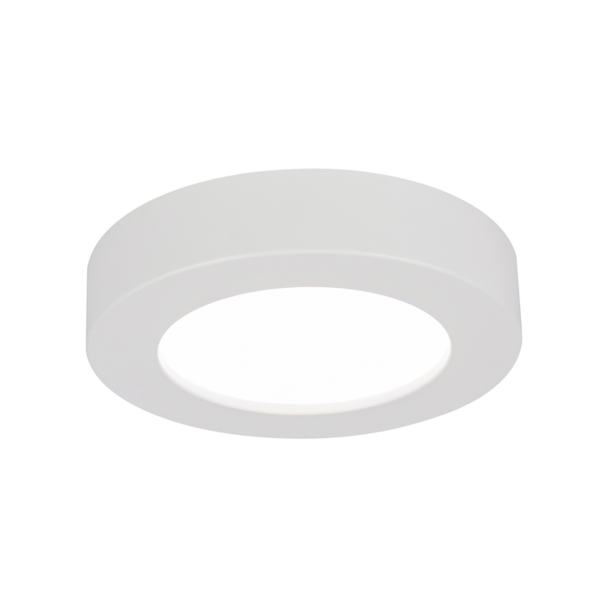 GLOBO 41605-20D - Lampada da soffitto LED dimmerabile da bagno PAULA 1xLED/18W/230V IP44