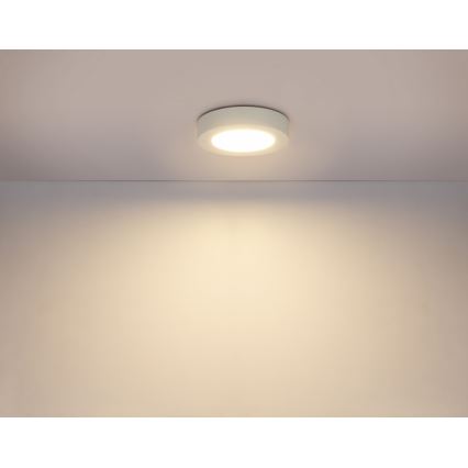 GLOBO 41605-20D - Lampada da soffitto LED dimmerabile da bagno PAULA 1xLED/18W/230V IP44