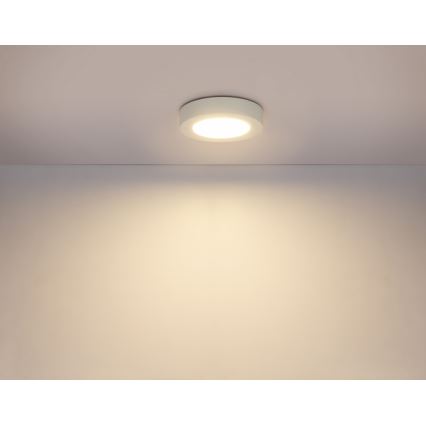 Globo - Lampada LED dimmerabile da bagno LED/18W/230V 3000/4000/6000K IP44