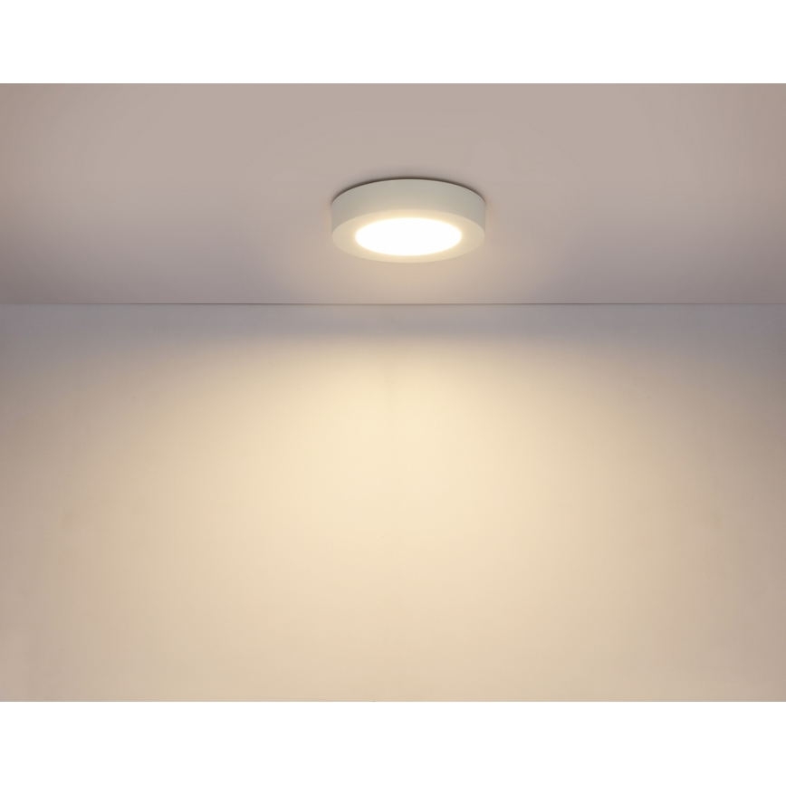 GLOBO 41605-20D - Lampada da soffitto LED dimmerabile da bagno PAULA 1xLED/18W/230V IP44