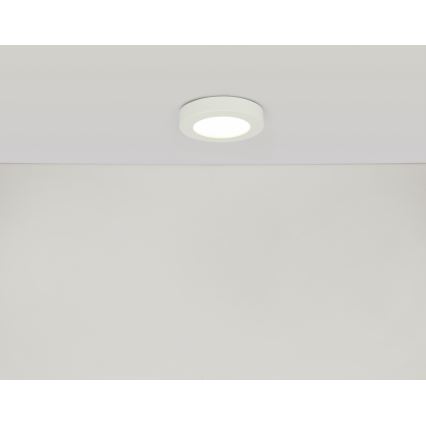 GLOBO 41605-20D - Lampada da soffitto LED dimmerabile da bagno PAULA 1xLED/18W/230V IP44
