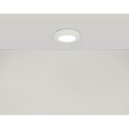 Globo - Lampada LED dimmerabile da bagno LED/18W/230V 3000/4000/6000K IP44