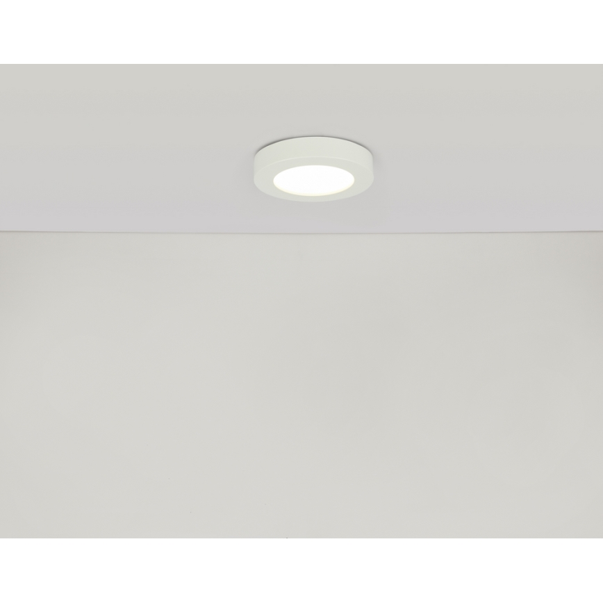 GLOBO 41605-20D - Lampada da soffitto LED dimmerabile da bagno PAULA 1xLED/18W/230V IP44