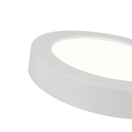 Globo - Lampada LED dimmerabile da bagno LED/18W/230V 3000/4000/6000K IP44