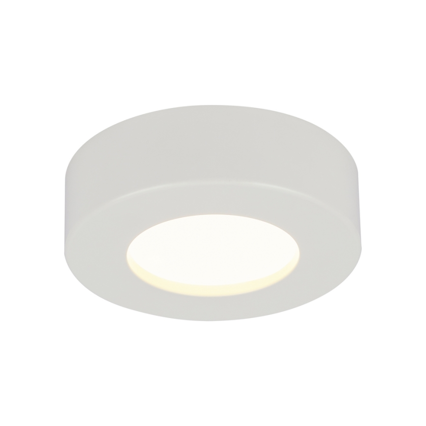 GLOBO 41605-9D - Lampada da soffitto LED dimmerabile da bagno PAULA 1xLED/9W/230V IP44