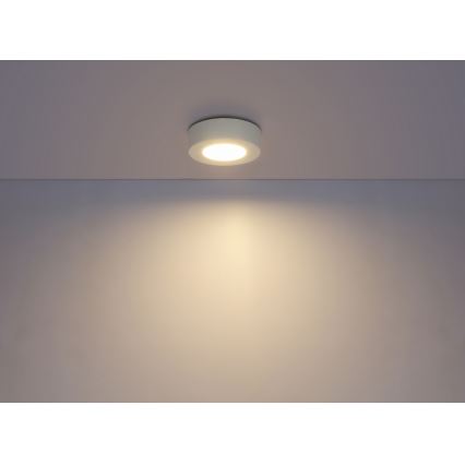 GLOBO 41605-9D - Lampada da soffitto LED dimmerabile da bagno PAULA 1xLED/9W/230V IP44