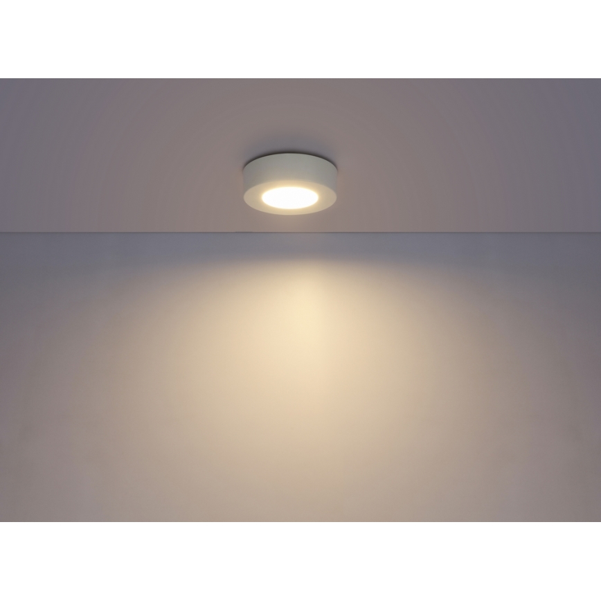 GLOBO 41605-9D - Lampada da soffitto LED dimmerabile da bagno PAULA 1xLED/9W/230V IP44