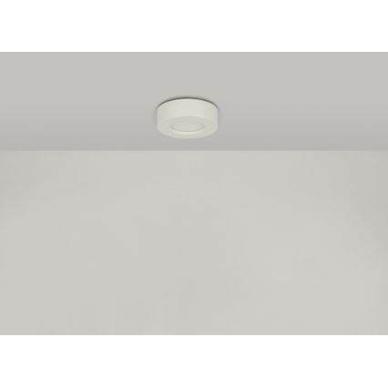 Globo - Lampada LED dimmerabile da bagno LED/9W/230V 3000/4000/6000K IP44