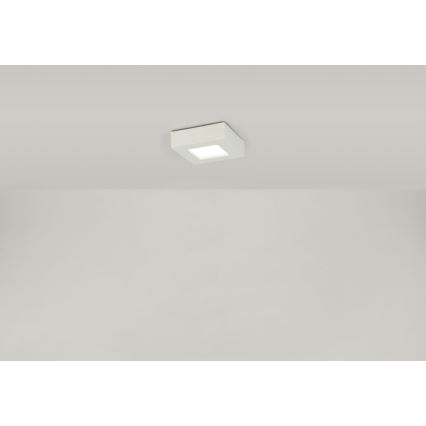 Globo - Plafoniera LED SVENJA 1xLED/9W/230V 3000/4000/6000K