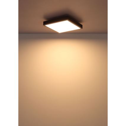 Globo - Plafoniera LED LED/12W/230V 3000K 30x30 cm