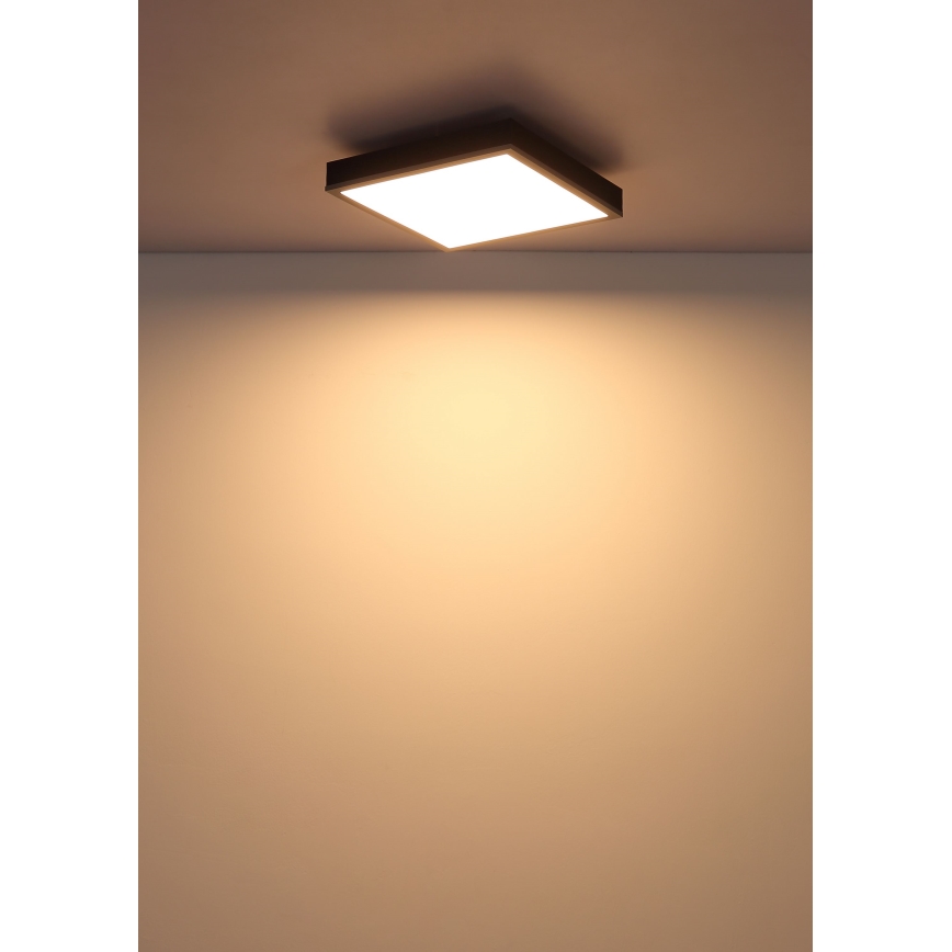 Globo - Plafoniera LED LED/12W/230V 3000K 30x30 cm