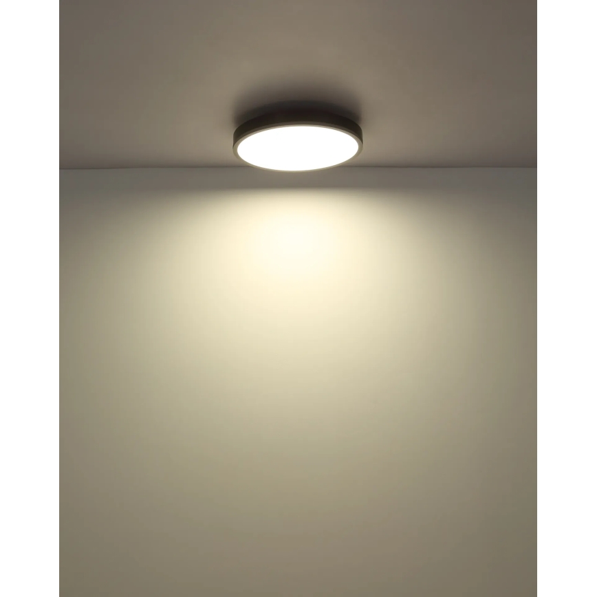 Globo - Plafoniera LED dimmerabile 24W/230V 2700-6500K Ø 45 cm + telecomando