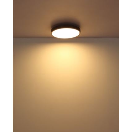 Globo - Plafoniera LED LED/24W/230V 3000K diametro 45 cm