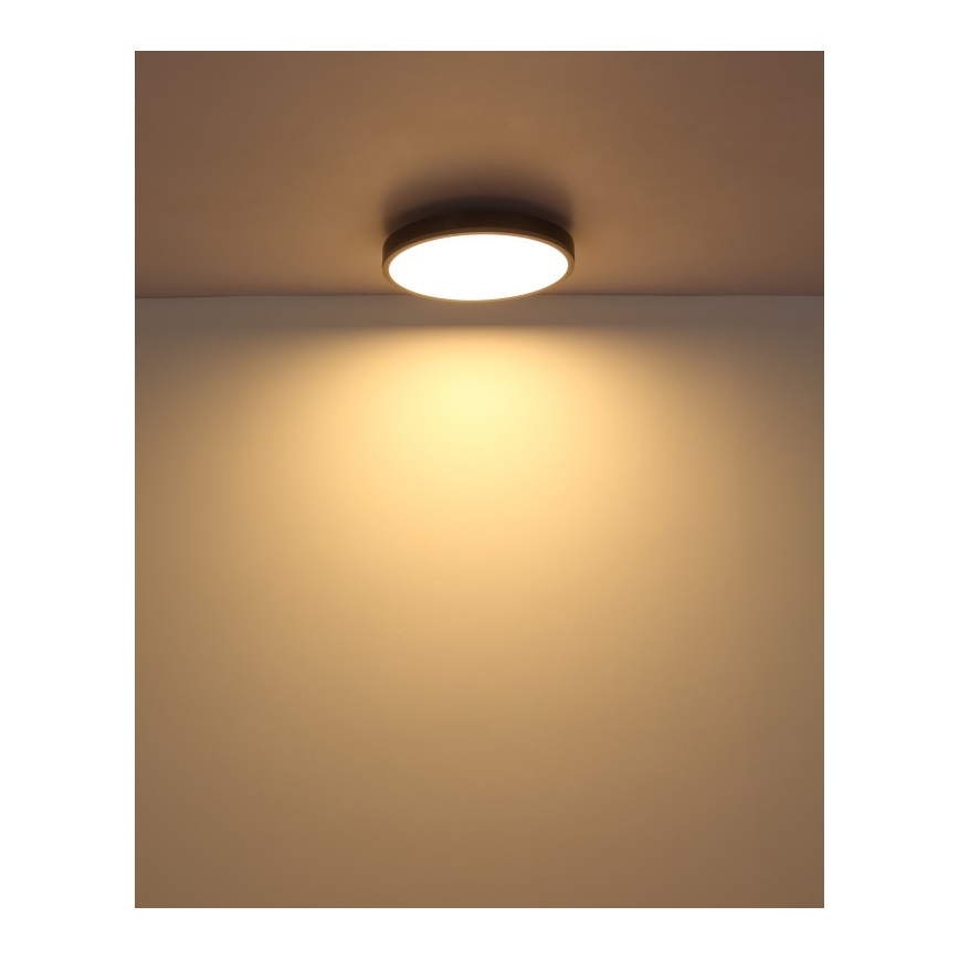 Globo - Plafoniera LED LED/24W/230V 3000K diametro 45 cm