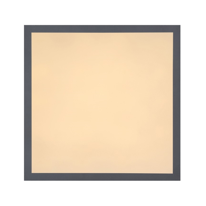 Globo - Plafoniera LED LED/12W + LED/4W/230V