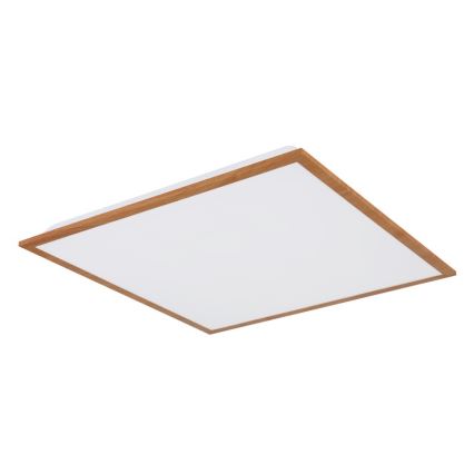 Globo - Plafoniera LED LED/24W/230V