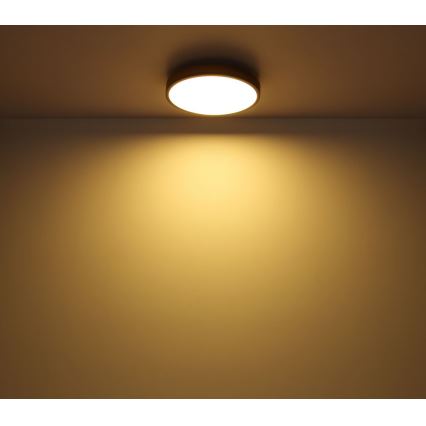 Globo - Plafoniera LED LED/12W/230V d. 30 cm