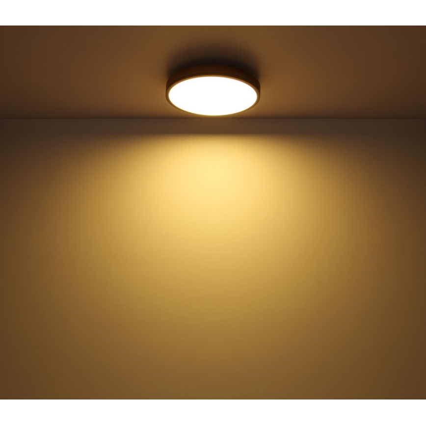 Globo - Plafoniera LED LED/12W/230V d. 30 cm