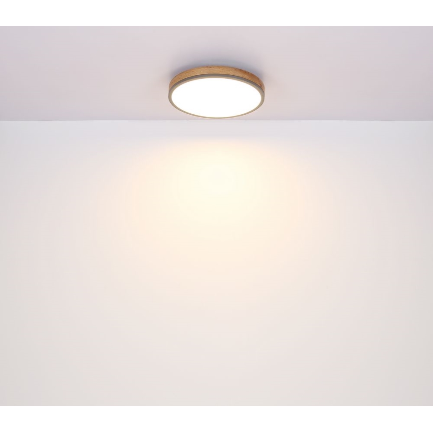 Globo - Plafoniera LED LED/12W/230V d. 30 cm