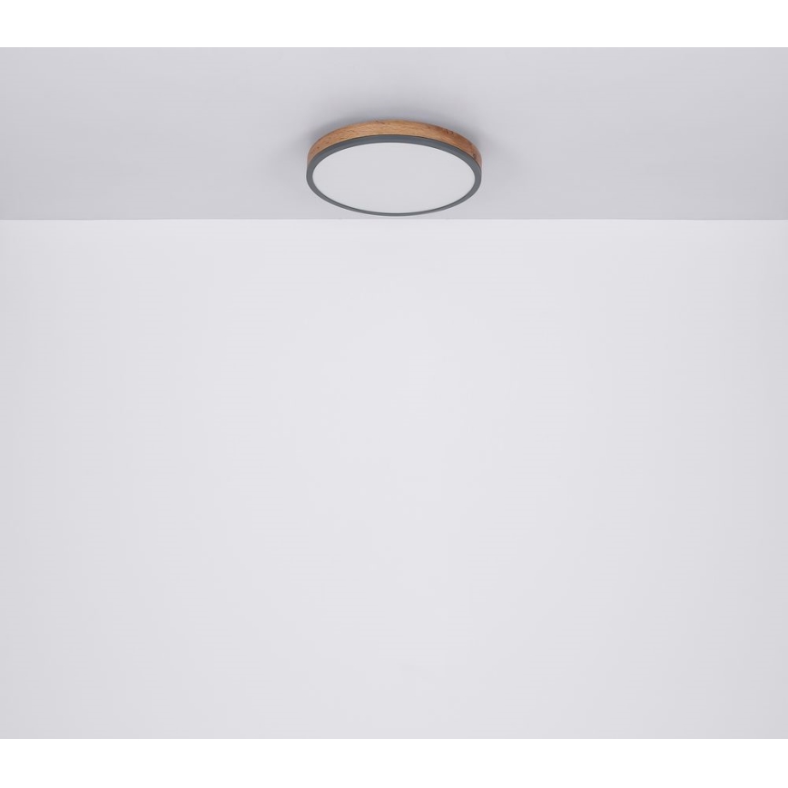 Globo - Plafoniera LED LED/12W/230V d. 30 cm