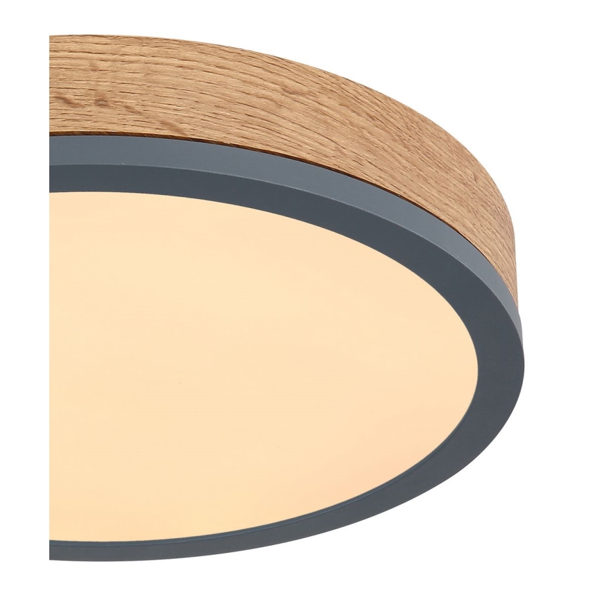 Globo - Plafoniera LED LED/12W/230V d. 30 cm