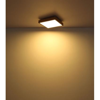 Globo - Plafoniera LED dimmerabile LED/24W/230V 3000-6500K 45x45 cm