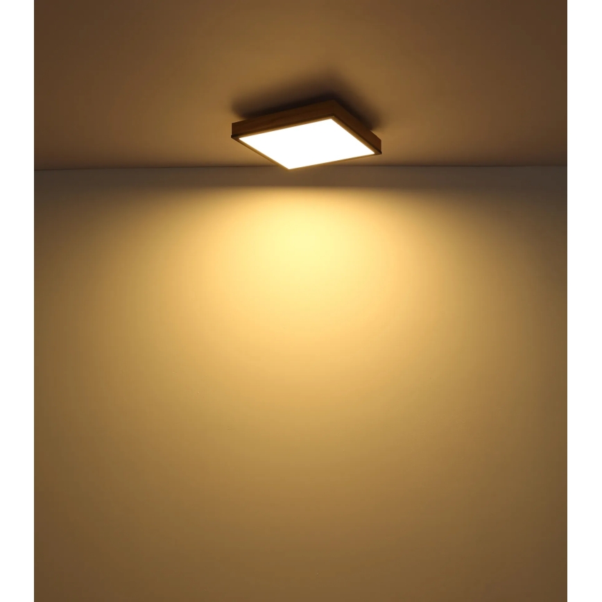 Globo - Plafoniera LED dimmerabile LED/24W/230V 3000-6500K 45x45 cm